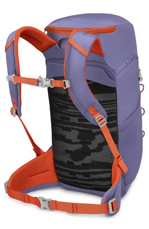 Osprey Kids' Jet 18-liter Backpack In Purple
