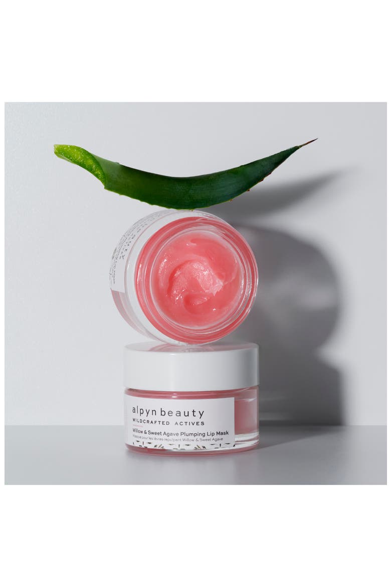 Willow & Sweet Agave Plumping Lip Mask, Alternate, color, NO COLOR