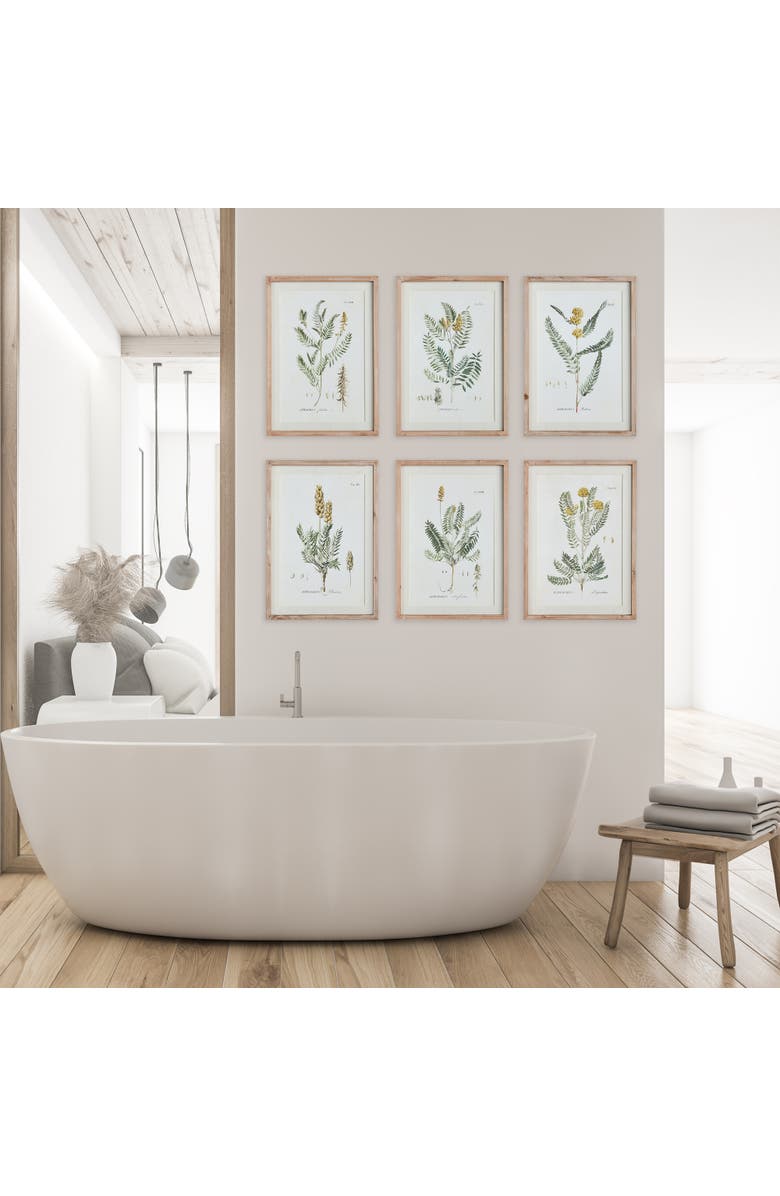 Napa Home & Garden Mid-Summer Blooms Prints Set of 6, Alternate, color, Green