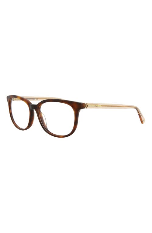 Alexander Mcqueen Mcqueen 51mm Core Square Optical Glasses In Havana Orange