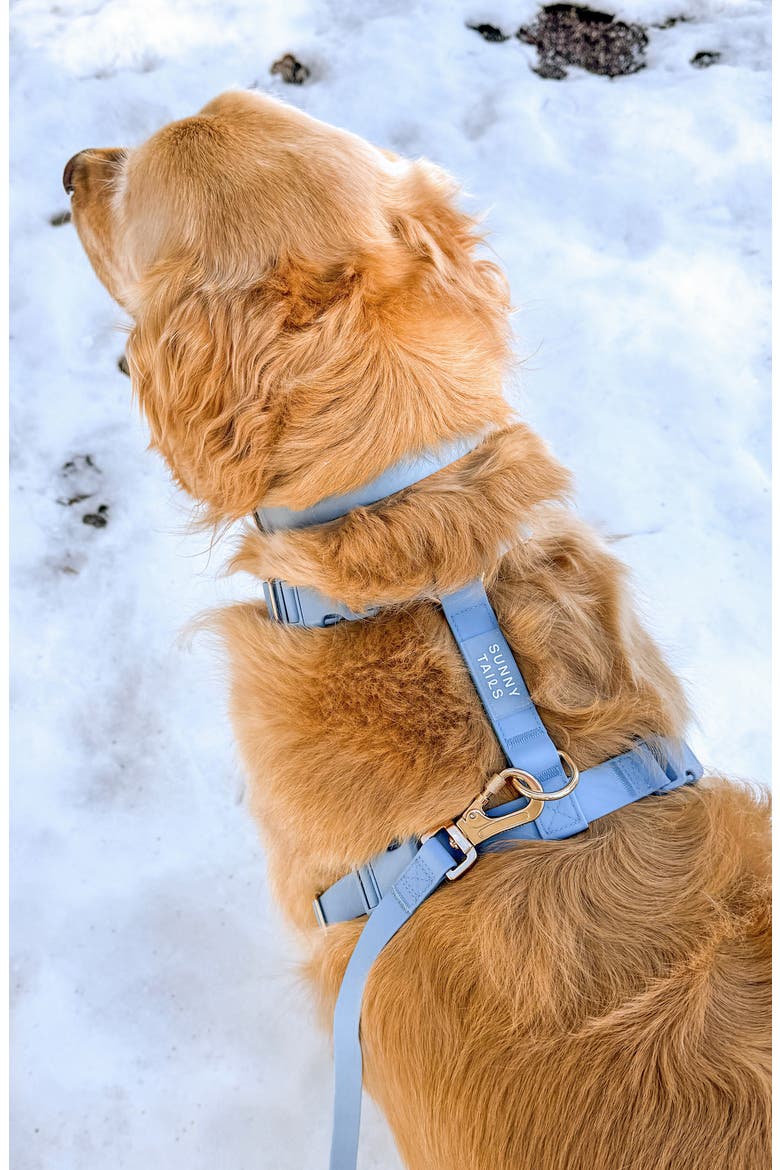 Cloud Lite Waterproof Dog Harness, Alternate, color, MALIBU BLUE
