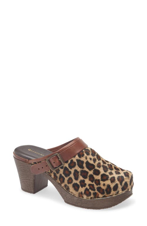 Chocolat Blu Faro Genuine Calf Hair Platform Mule In Multi