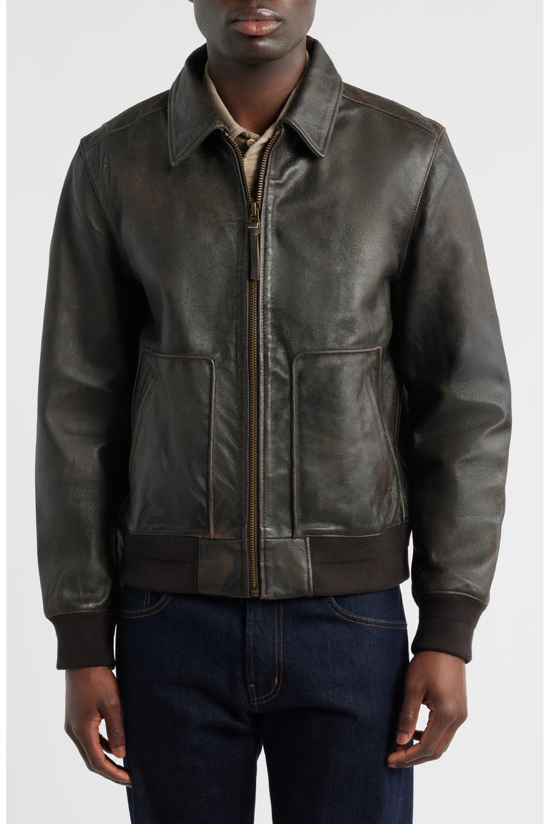 Charles Leather Jacket, Alternate, color, ADVENTURE