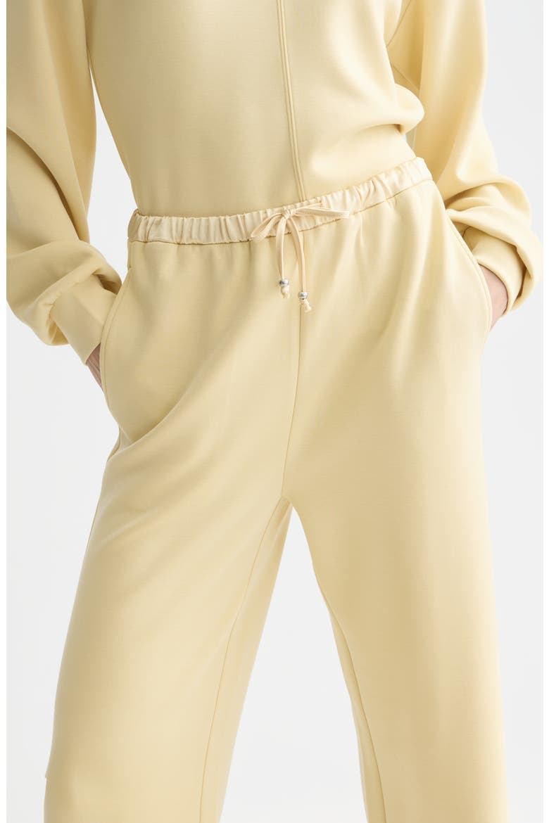 Tie Waist Sweatpants, Alternate, color, PARSNIP