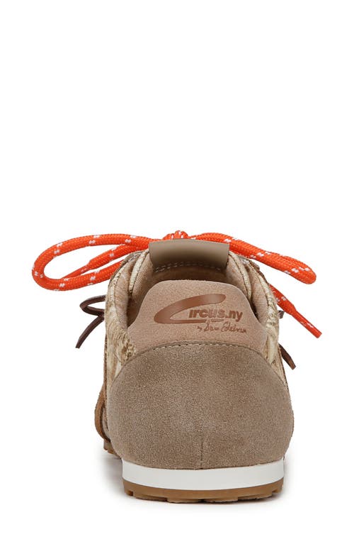 Circus Ny By Sam Edelman Nash Sneaker In Faded Sepia/tuscan Taupe