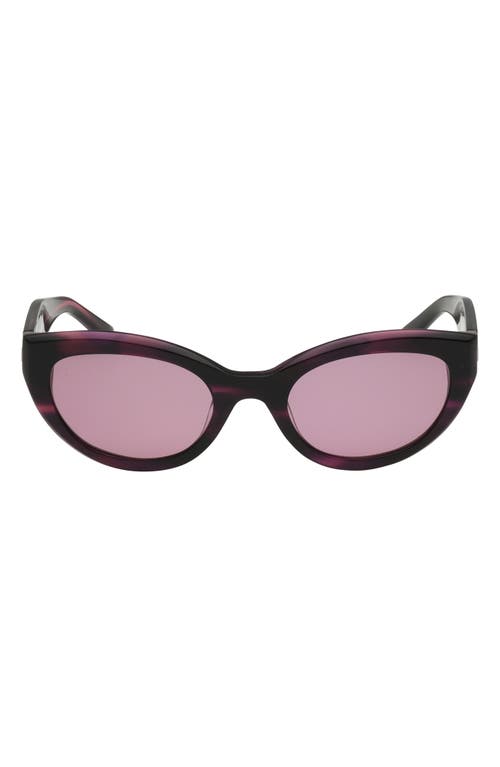 ABERCROMBIE & FITCH 52mm Cat Eye Sunglasses in Horn /Plum Lens  product