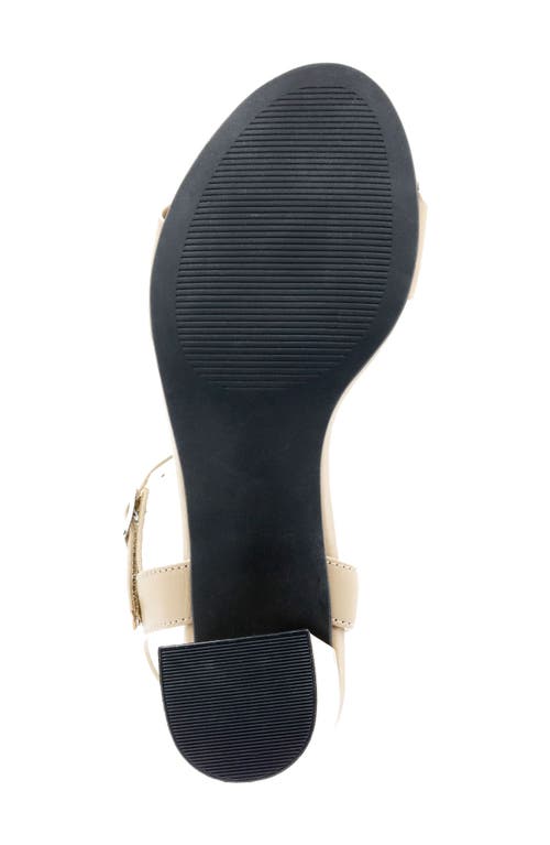 David Tate Ageless Ankle Strap Sandal In Warm Taupe