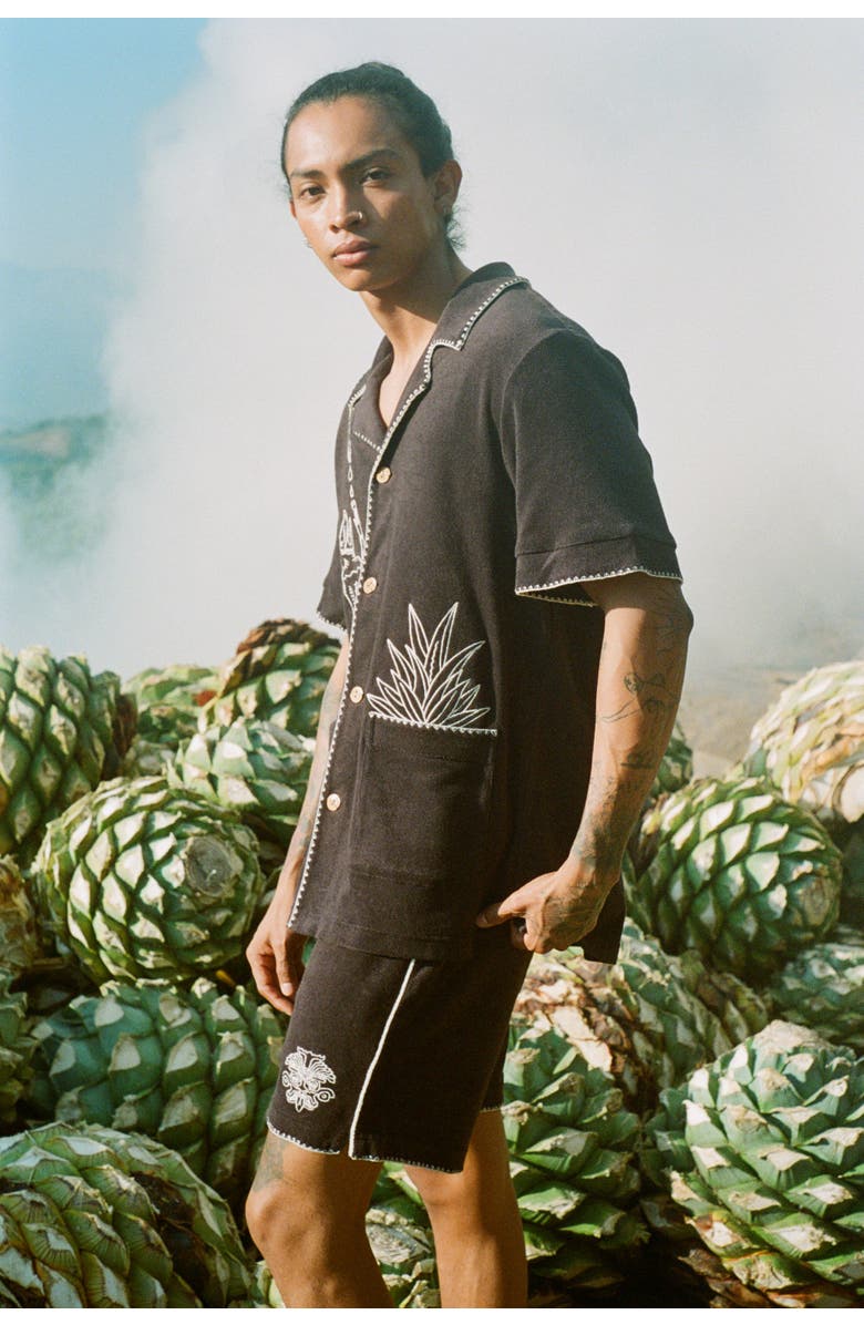 Tombolo 'Agua Mágica' Cabana Shorts, Alternate, color, 