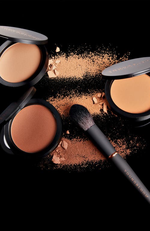 Youngblood Mineral Cosmetics Defining Bronzer In Multi