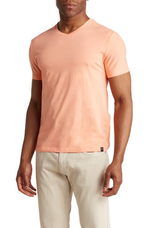 Solid V-Neck T-Shirt