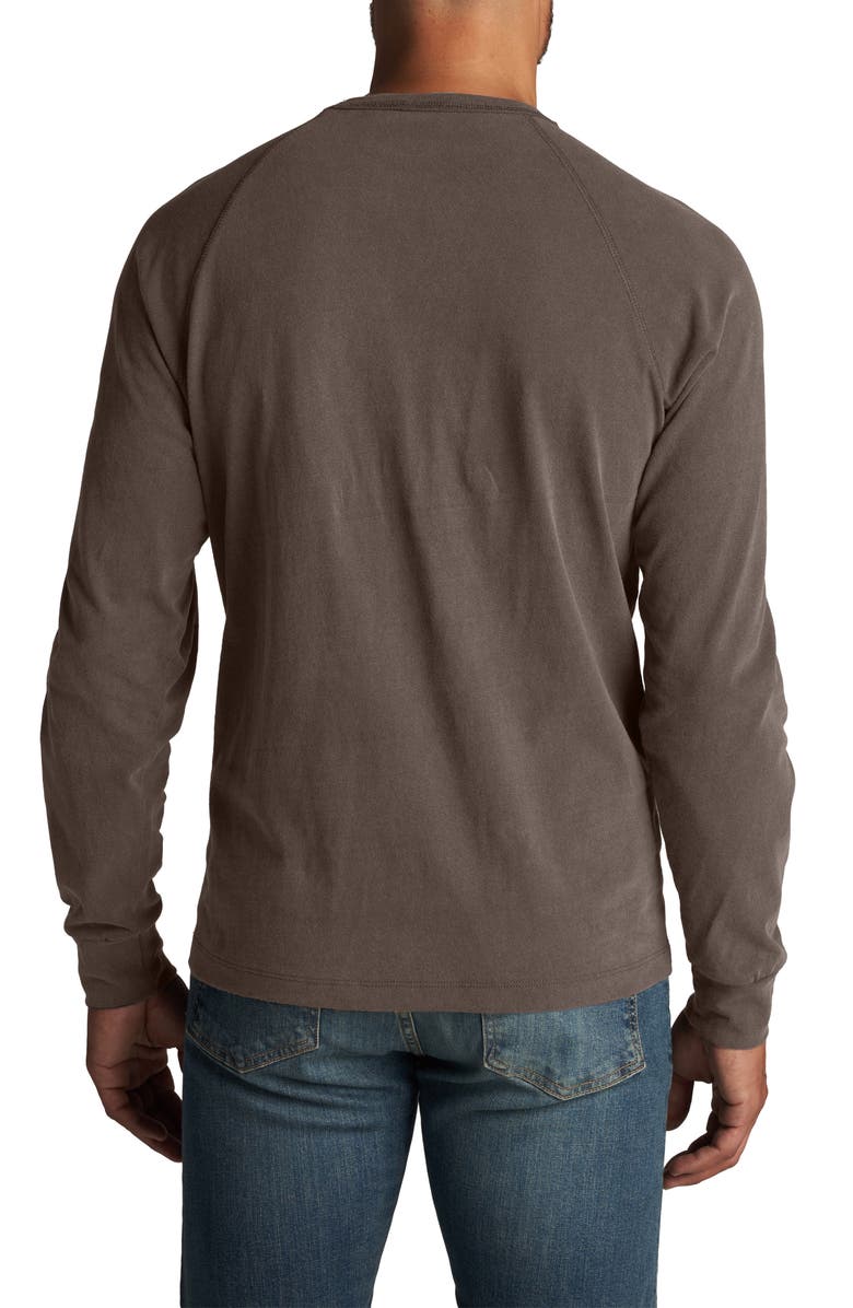 Rowan Maxwell Raglan Sleeve T-Shirt, Alternate, color, Brown