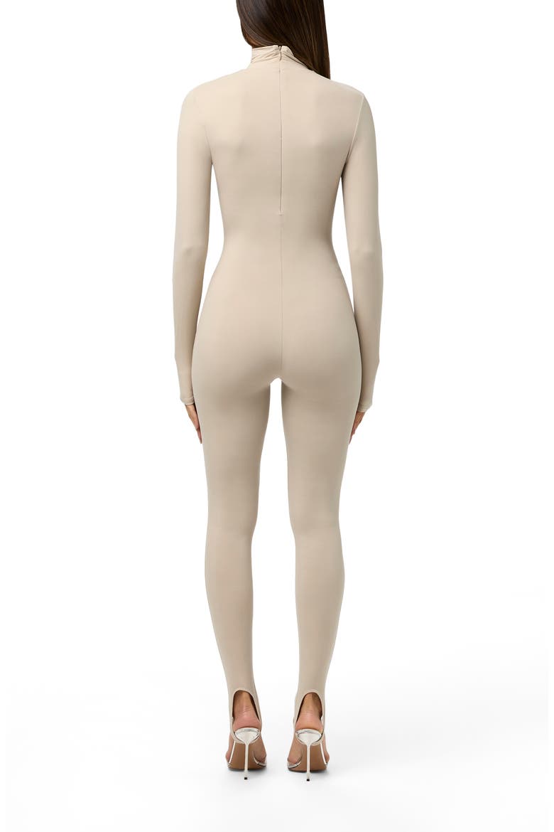 Long Sleeve Stirrup Jumpsuit, Alternate, color, TAUPE