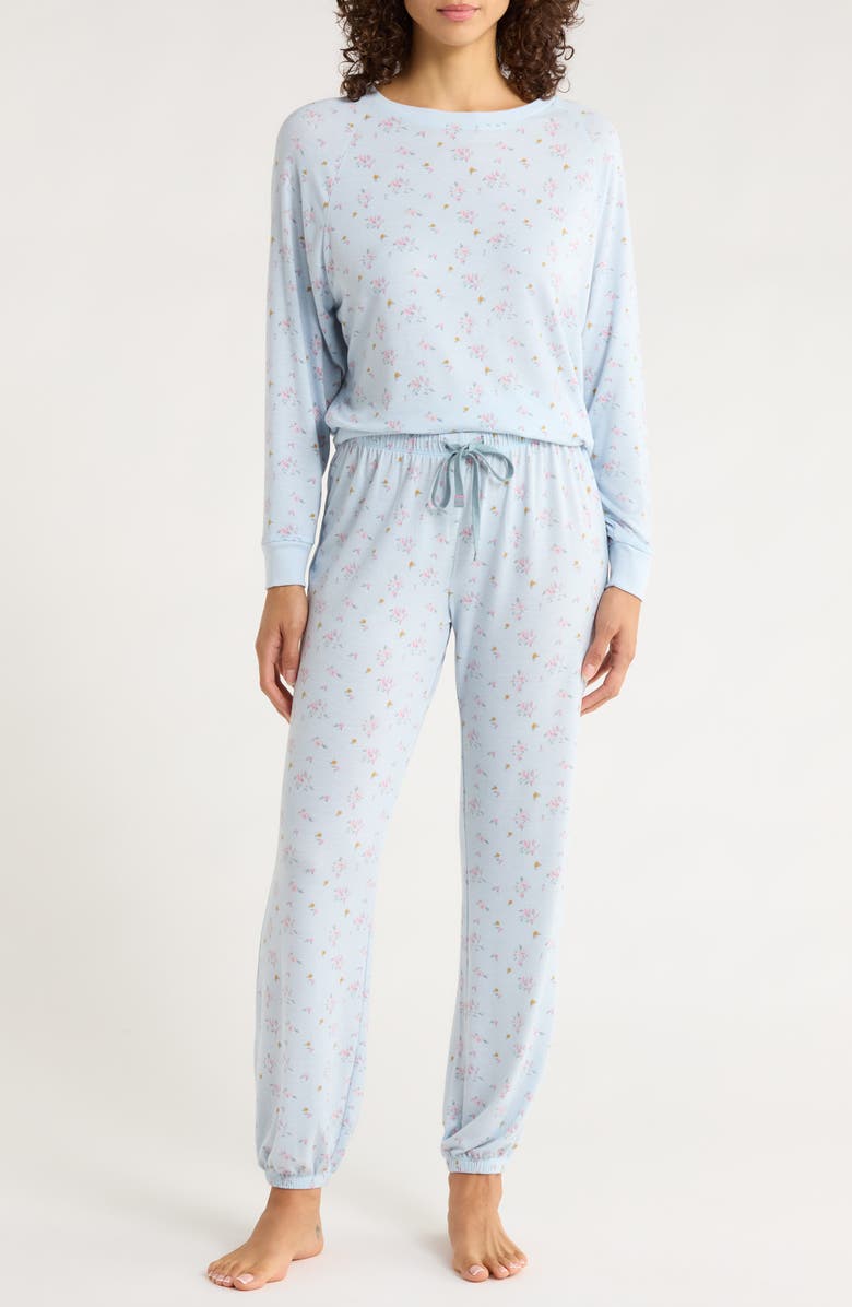 Honeydew Star Seeker Brushed Jersey Pajamas, Main, color, Chambray Ditsy