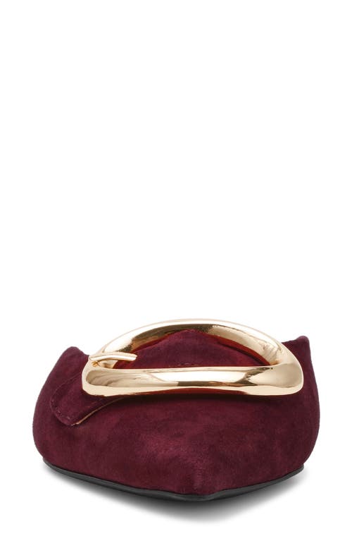 Steve Madden Ira Pointed Toe Mule