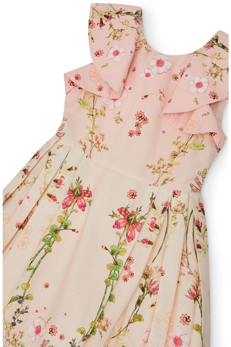 Ember Floral-Print Frill-Sleeve Cotton Dress, Alternate, color, PINK PRINT