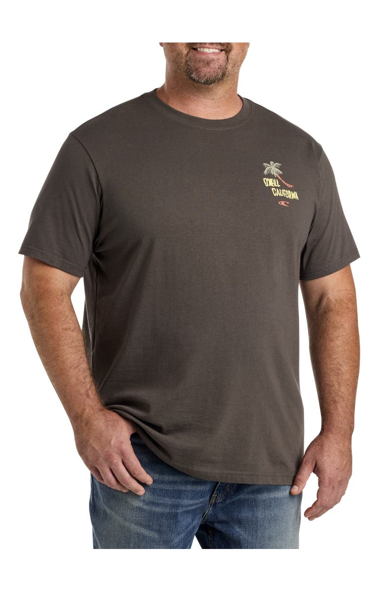 O'Neill Big & Tall California Republic Graphic Tee, Main, color, 