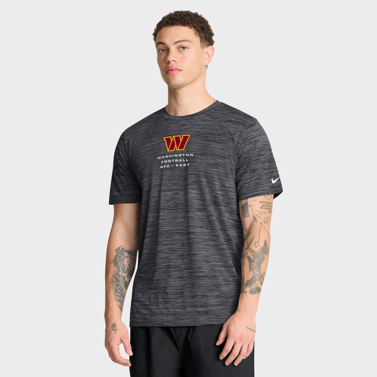 selected Anthracite