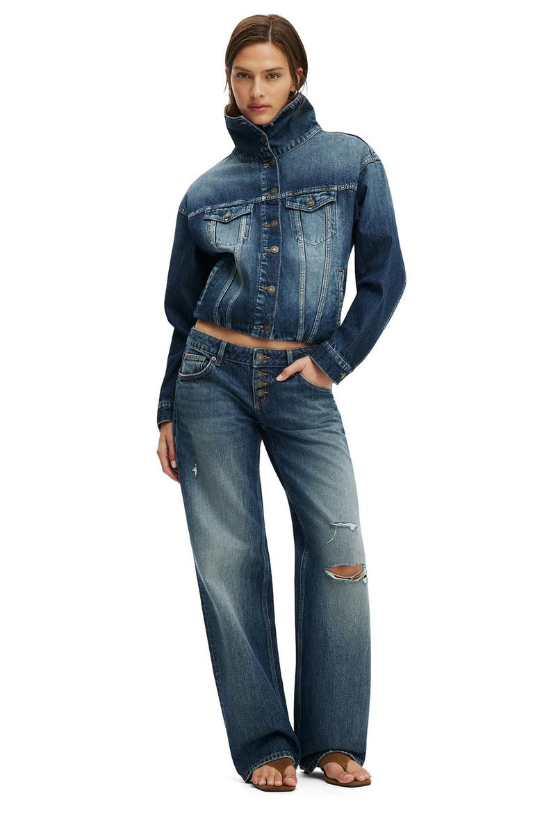 Oli Denim Jacket, Alternate, color, GRAZED BLUE