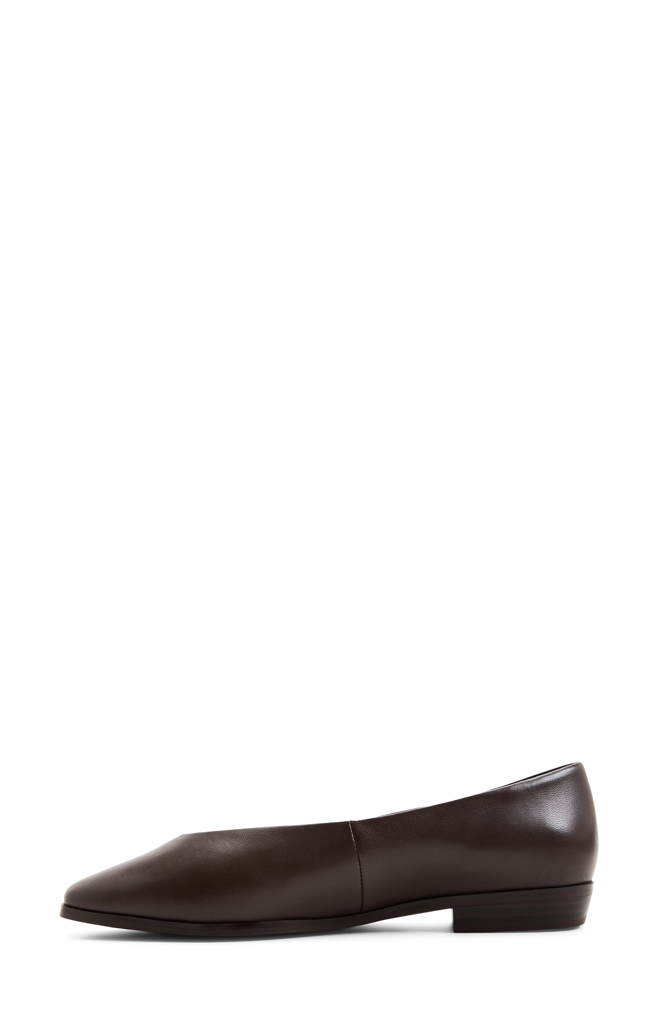ALDO Devereteriel Flat, Alternate, color, Dark Brown
