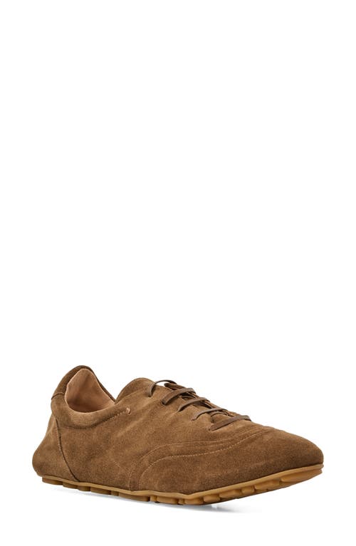 Aquatalia Qrystal Water Repellent Sneaker In Brown