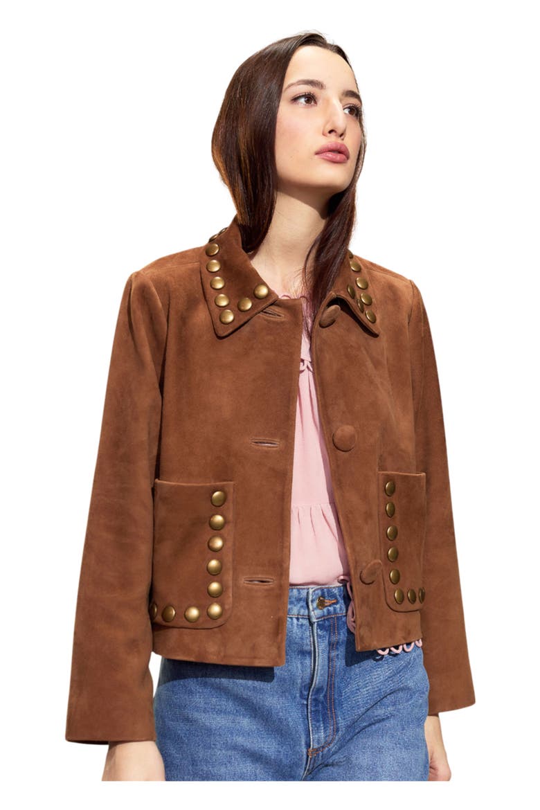Studded Suede Cropped Jacket, Alternate, color, Brown