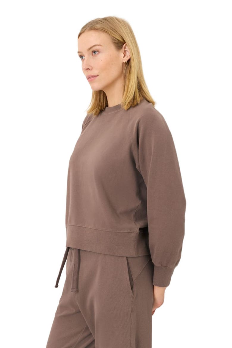 CloudKnit Raglan Crew, Alternate, color, Deep Taupe