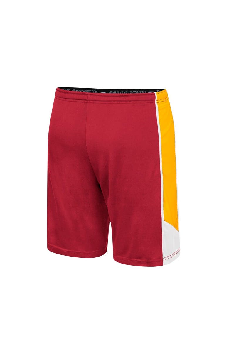COLOSSEUM Men's Colosseum Cardinal USC Trojans Haller Shorts, Alternate, color, 