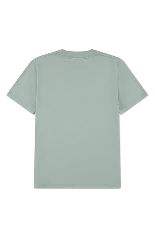 Abercrombie Kids Kids' Essential Cotton Blend T-shirt In Green