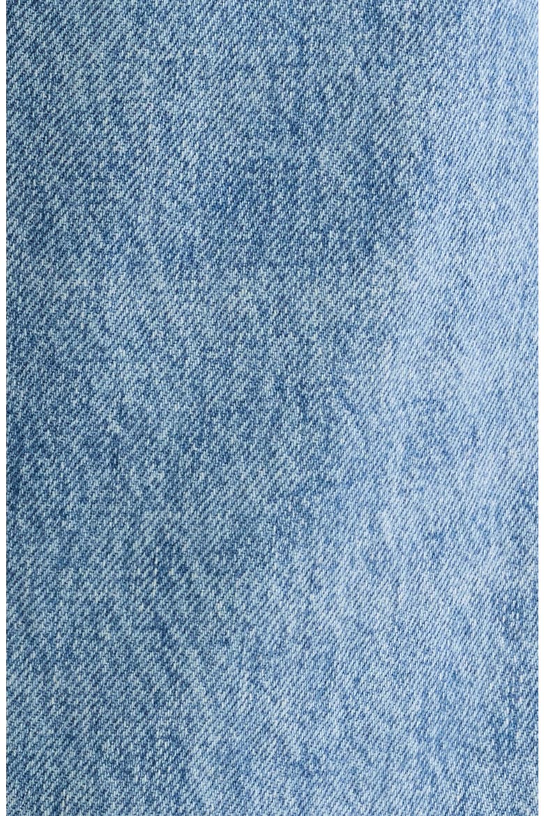 The Low Rise Loose Jeans, Alternate, color, RAEBROOK WASH