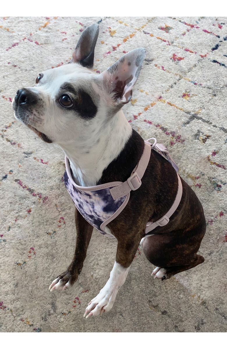 MYTAGALONGS Checkered Full Body Dog Harness, Alternate, color,