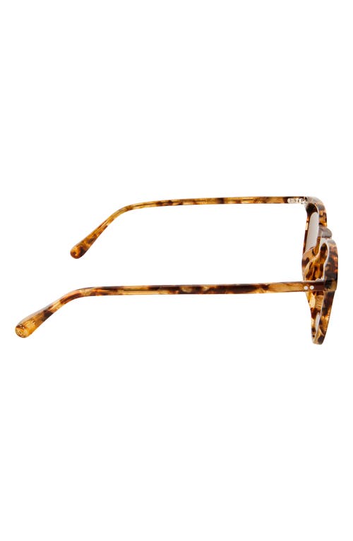 DIFF DIFF MAXWELL 51MM POLARIZED SQUARE SUNGLASSES 
