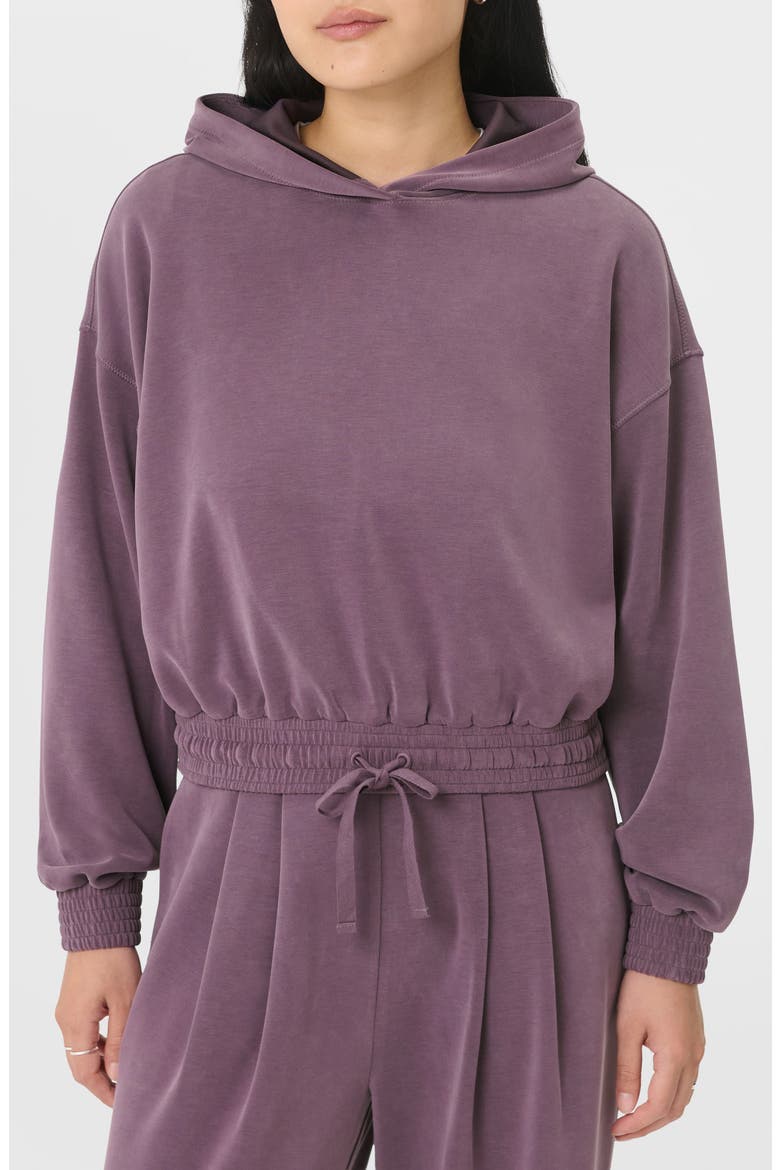 Sand Wash Cloud Weight Crop Hoodie, Main, color, NEPTUNE PURPLE