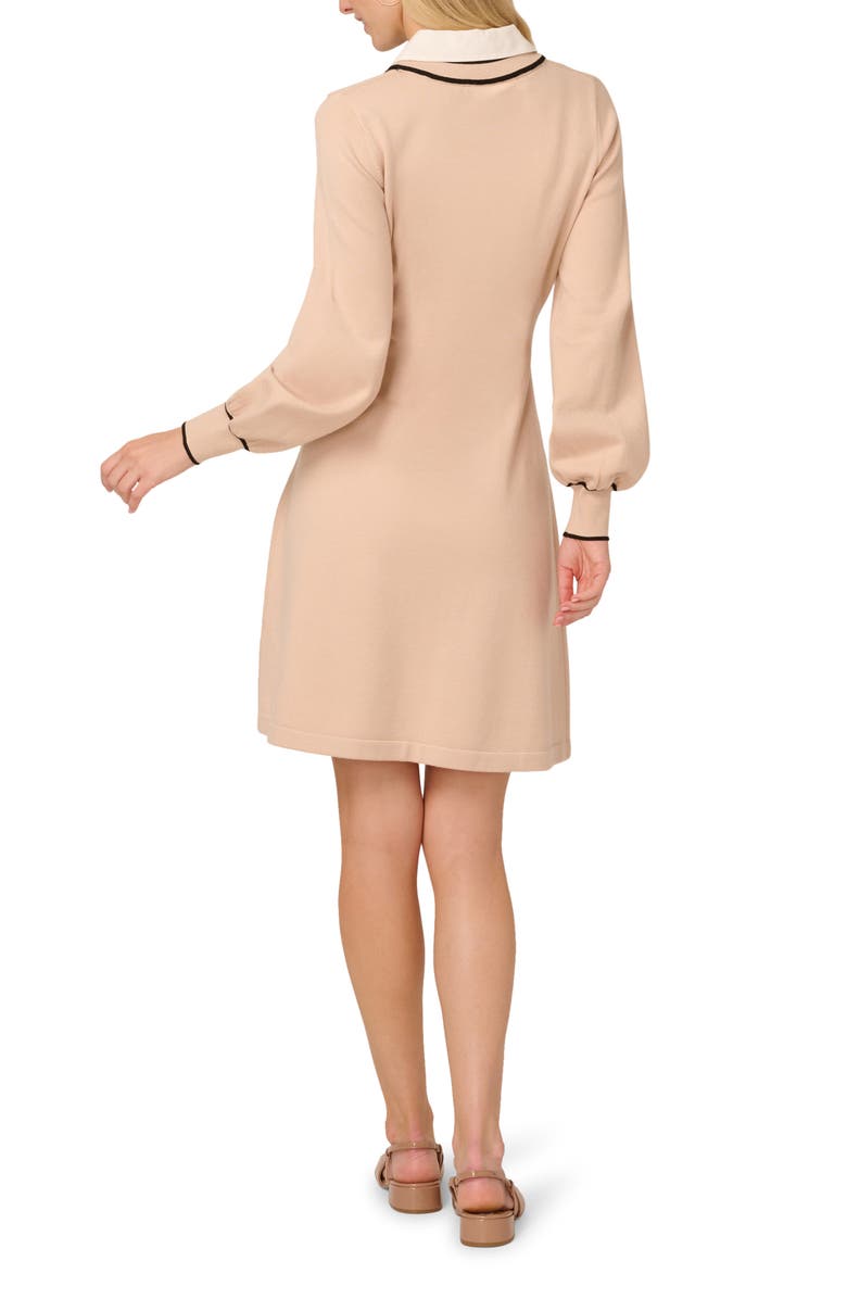 Adrianna Papell Collared Long Sleeve Twofer Sweater Dress, Alternate, color, Champ Blush/ Black