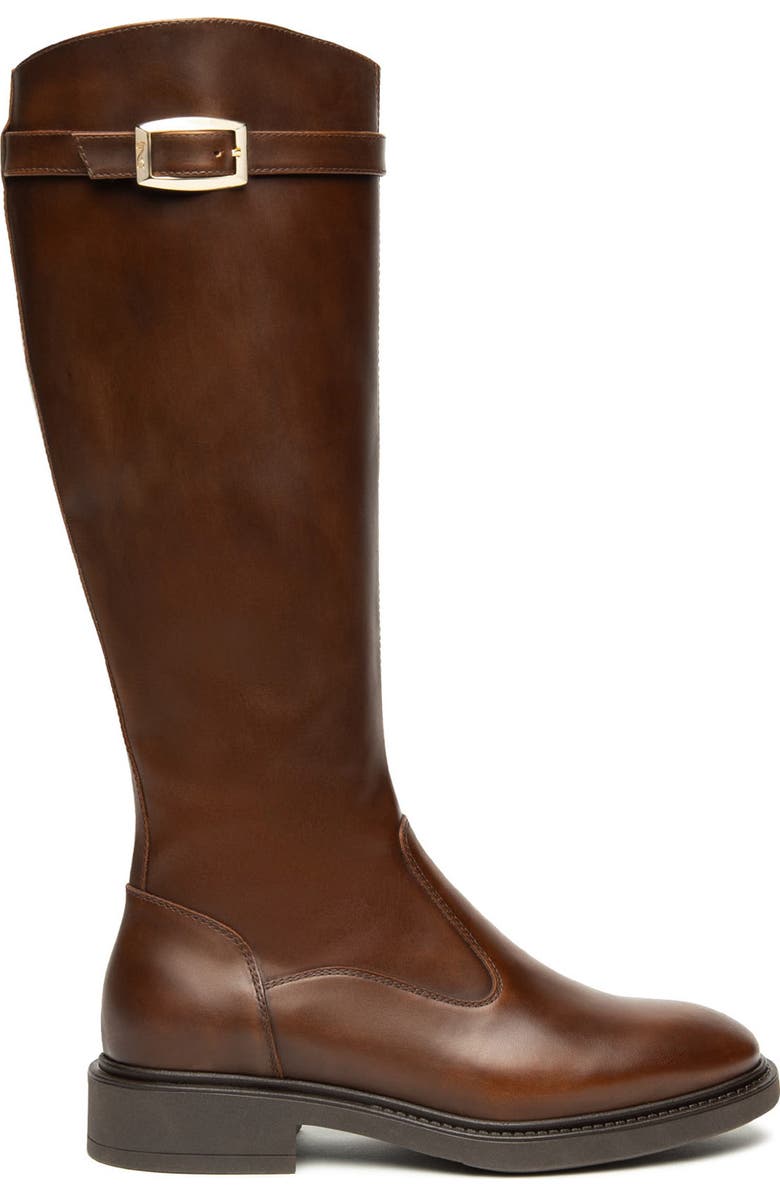 NeroGiardini Buckle Riding Boot, Main, color, Dark Brown