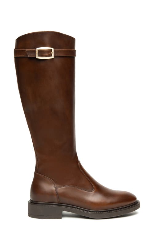 Nerogiardini Buckle Riding Boot In Brown