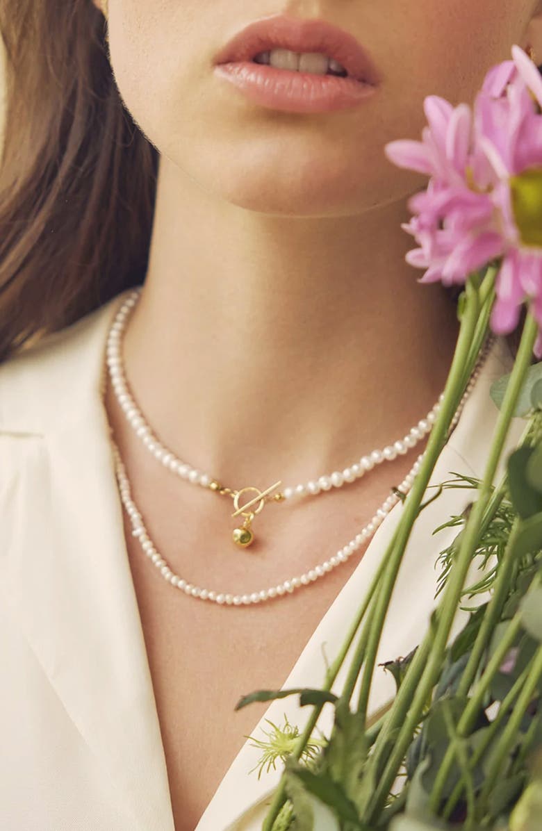 Bearfruit Jewelry 14k Gold Plated Elena Pearl Choker Dainty Minimalist Gift Idea, Alternate, color,