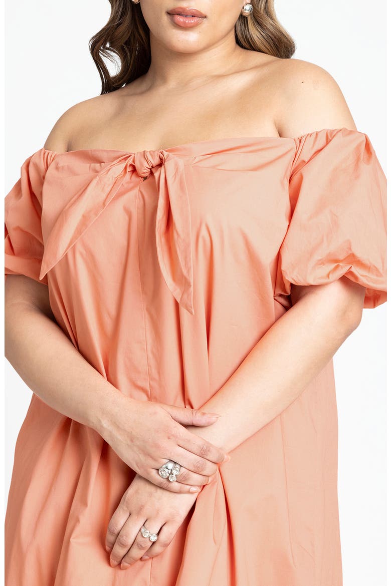 Off the Shoulder High-Low Maxi Dress, Alternate, color, TERRA COTTA