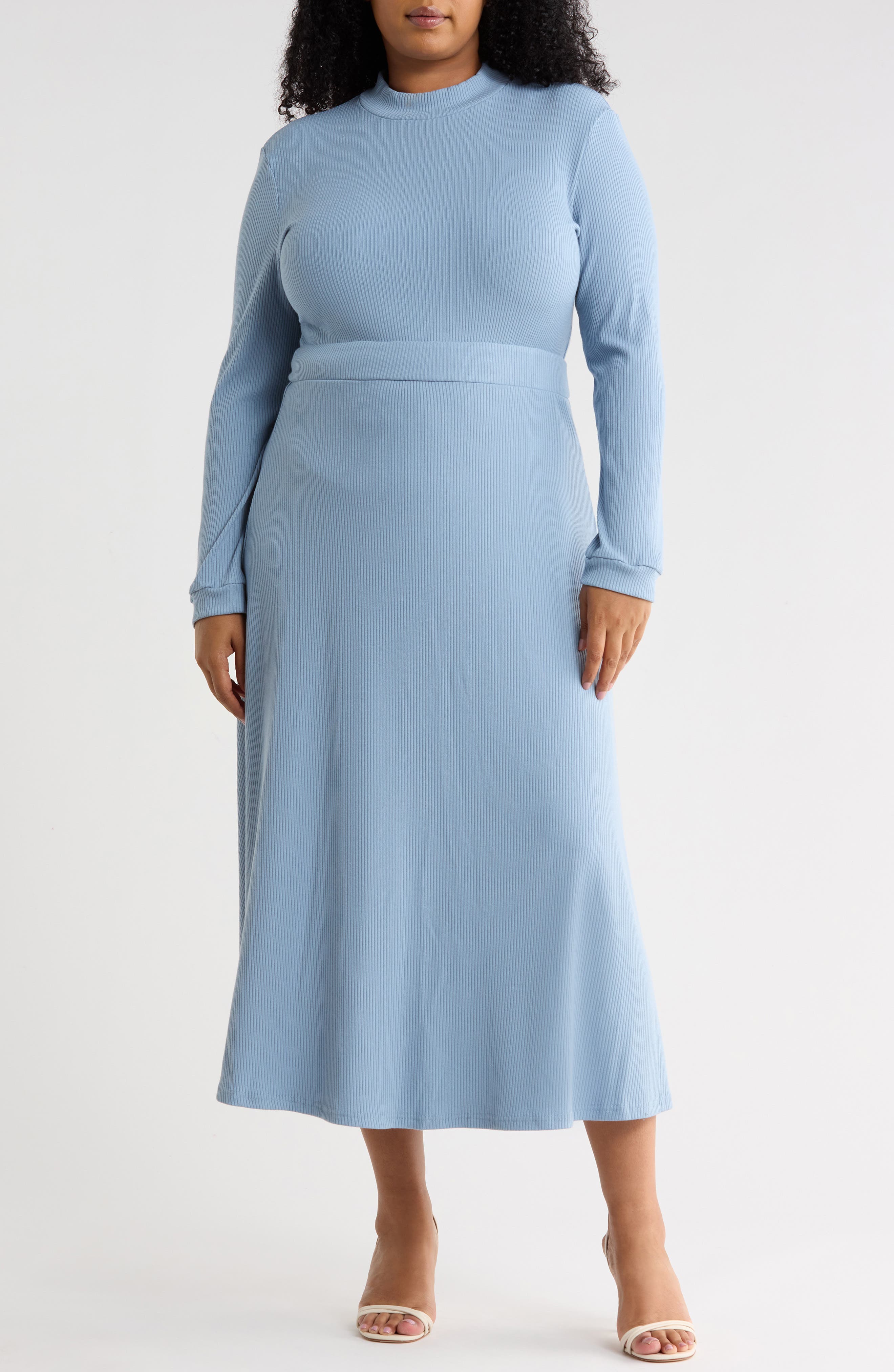 Molly Ribbed Mock Neck A-Line Dress