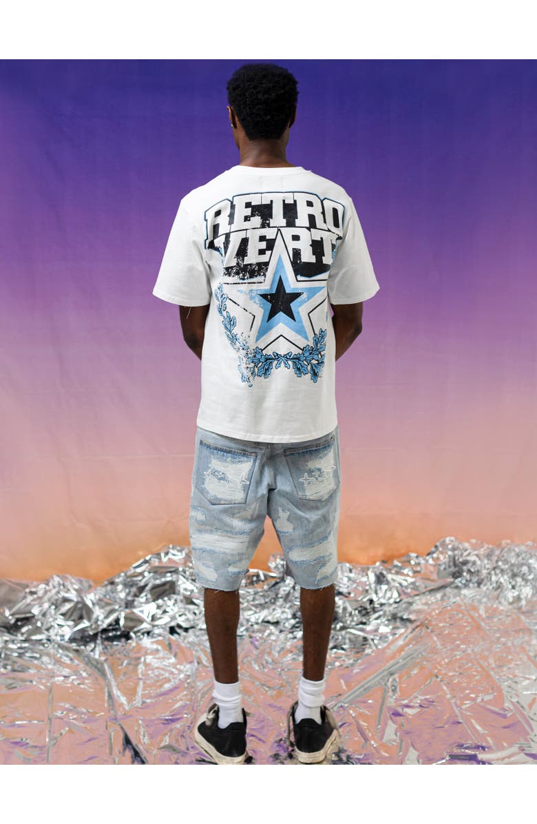 RETROVERT Denim Distressed Shorts, Alternate, color, Blue