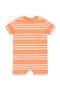  Goldfish White Stripe
