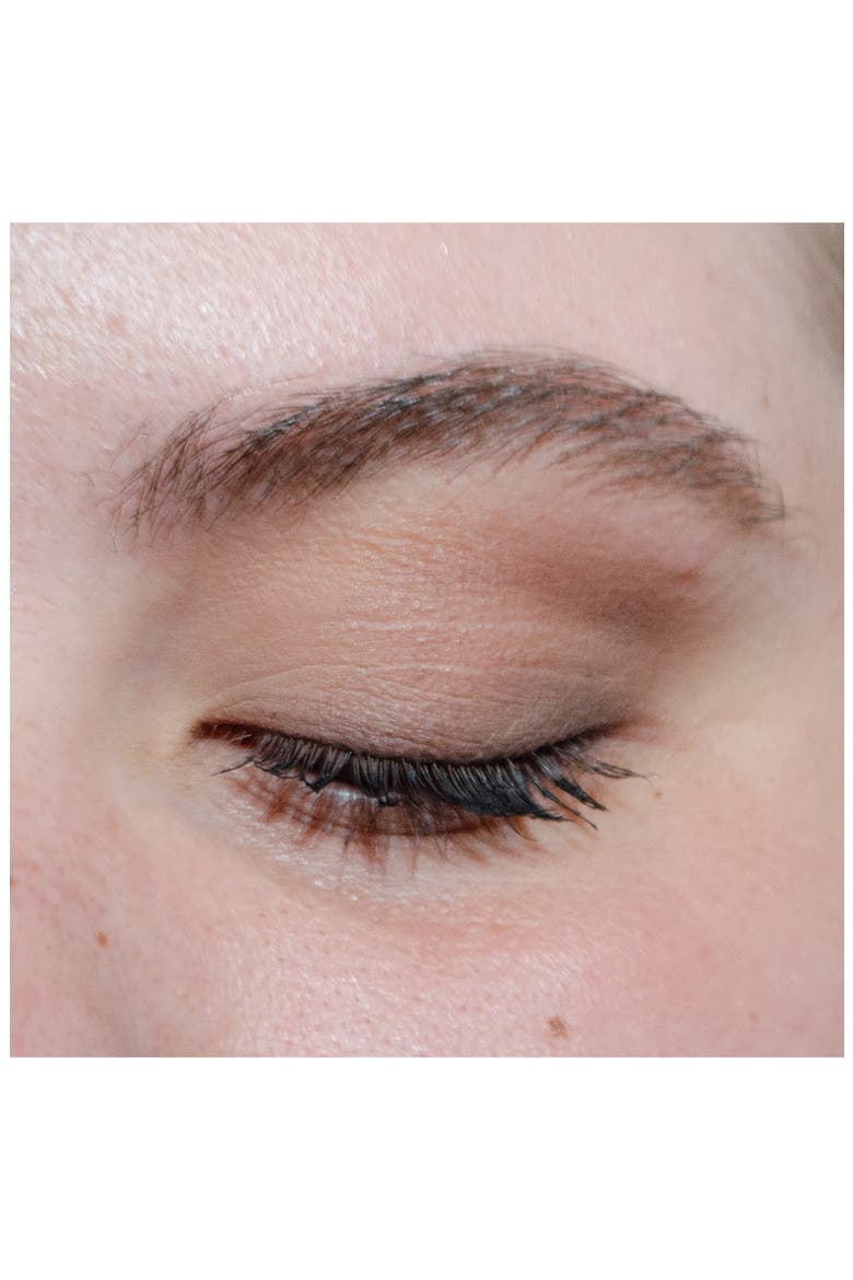 Pretty Shady Pressed Pigment Trio, Alternate, color, THE TOASTY TRIO