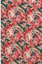  Green Coral Palm Multi