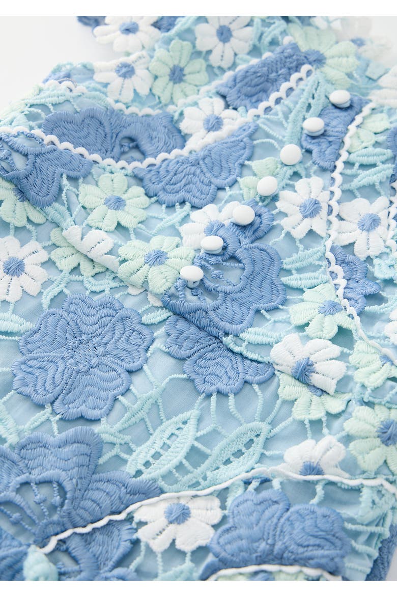 Jade Embroidered Mini Dress, Alternate, color, Powder Blue