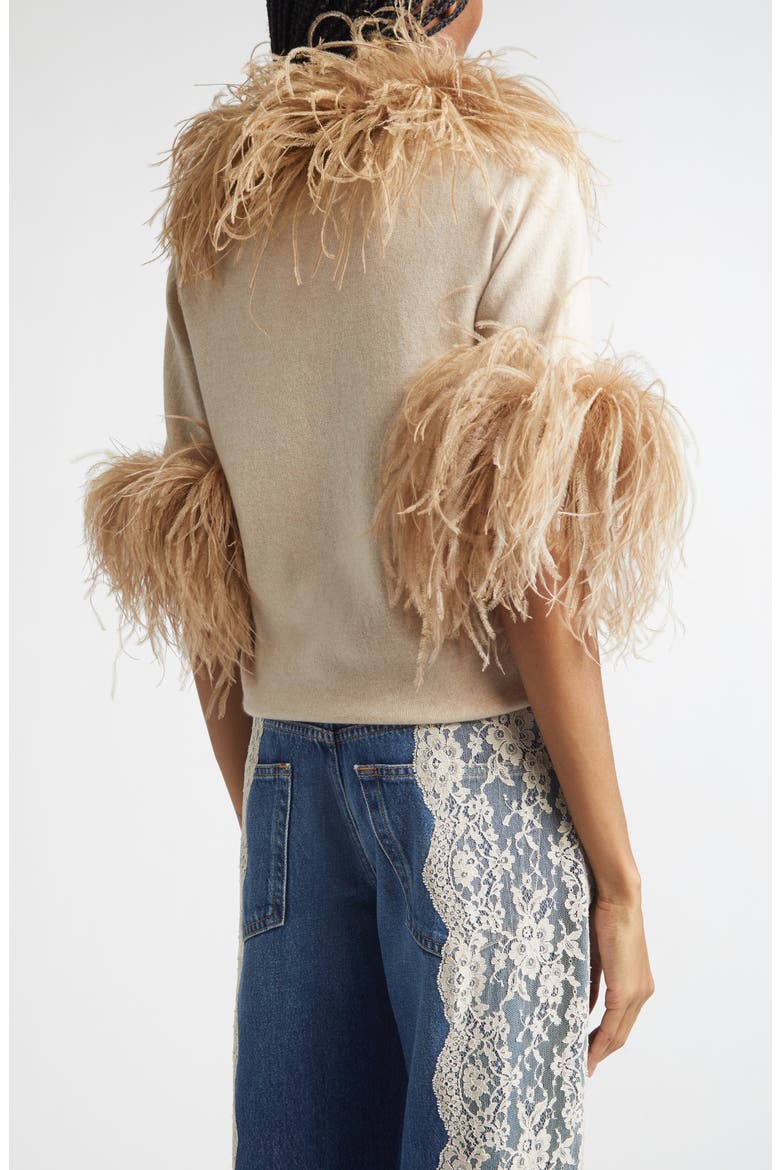 Feather Trim Short Sleeve Cashmere Sweater, Alternate, color, BEIGE
