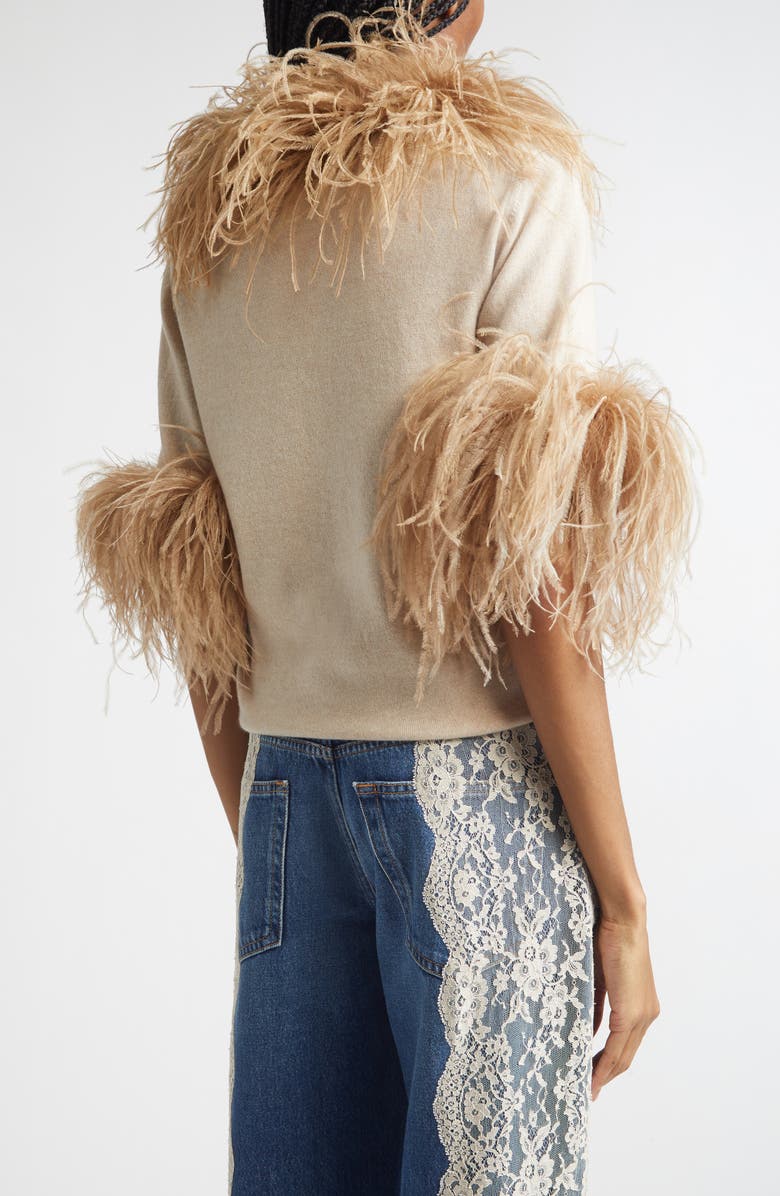 Dolce&Gabbana Feather Trim Short Sleeve Cashmere Sweater, Alternate, color, Beige