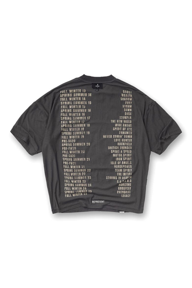 Living Legacy Cotton & Hemp Reversible Graphic T-Shirt, Alternate, color, SUN FADE GREY