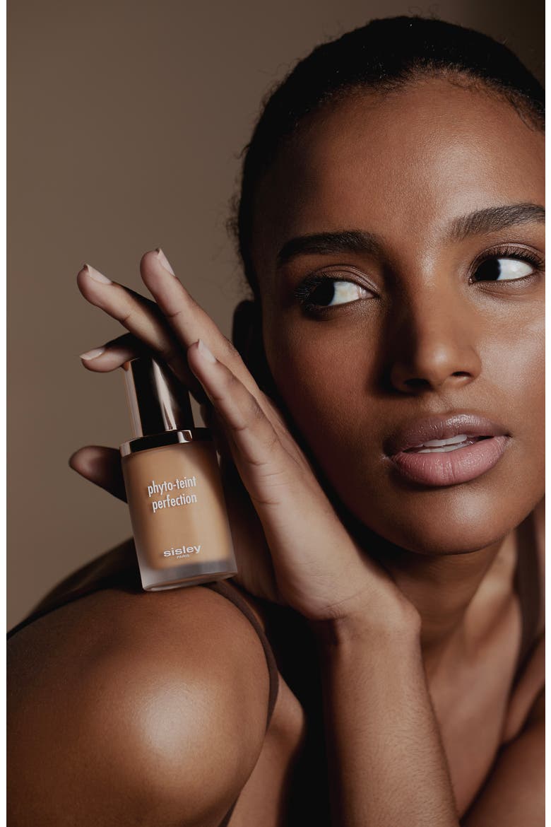 Phyto-Teint Perfection Foundation, Alternate, color, 6W CHESTNUT