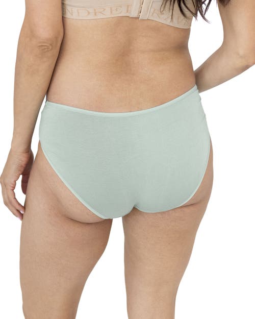 Kindred Bravely Assorted 5-pack Under The Bump Full Coverage Maternity Briefs In Multi