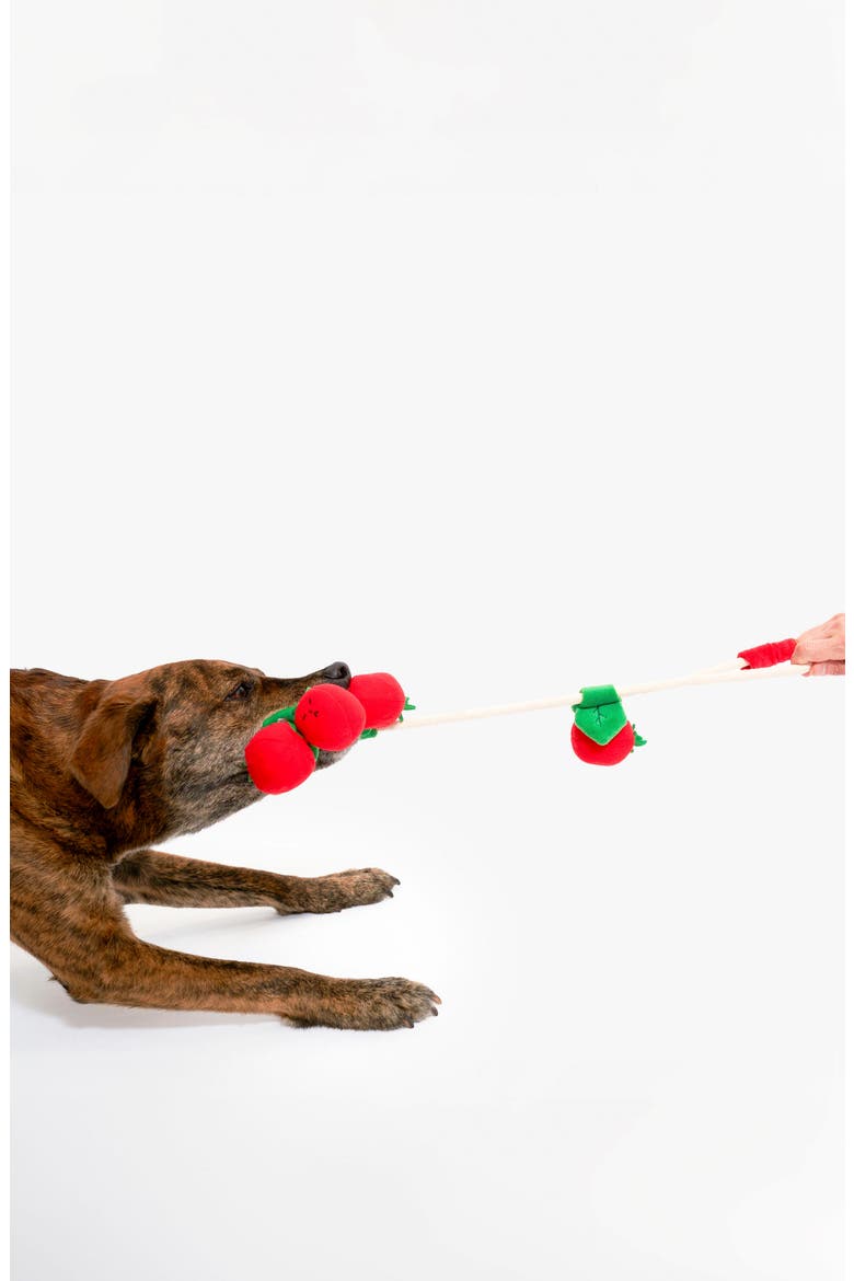 Cherry Tomato Nosework & Tug Toy, Alternate, color, RED