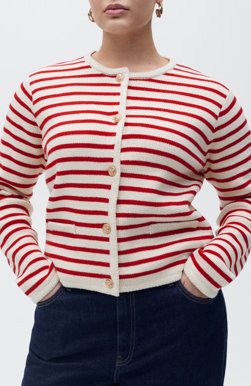 Mango Stripe Cotton Blend Cardigan